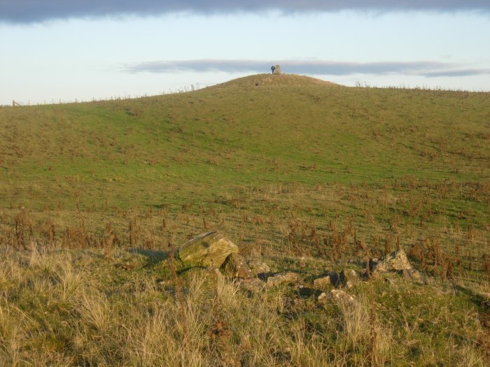 Click for the gallery page to add comments and vote (PID:23448) Gelli Hill Cairn B