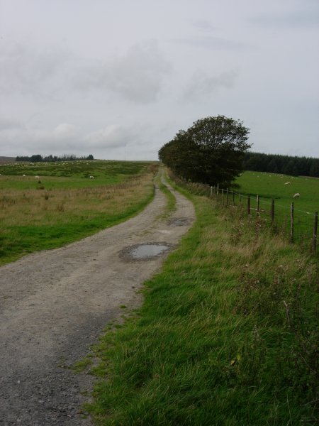 Click for the gallery page to add comments and vote (PID:24282) Kerry Ridgeway