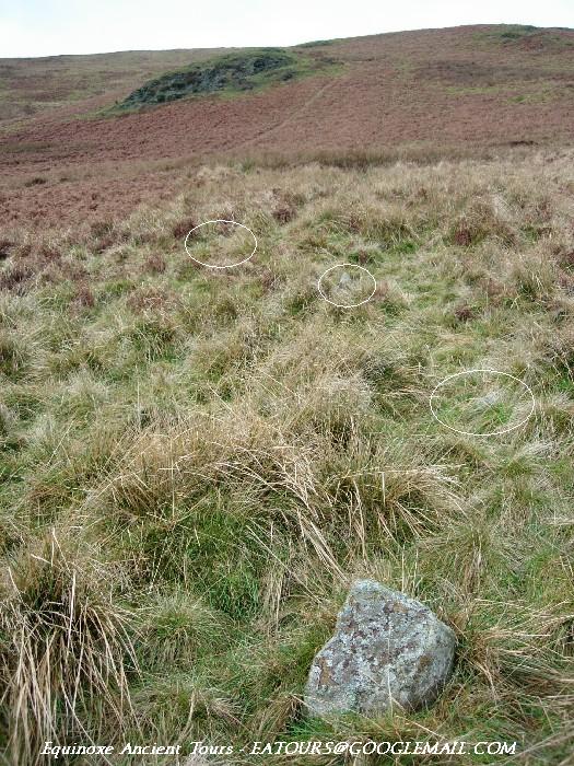Cwm Rhiwiau