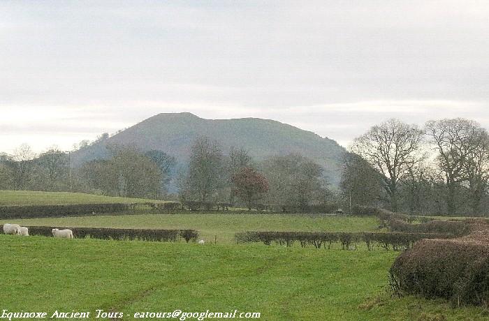 Llwyn Bryn Dinas