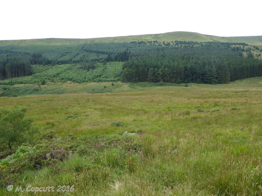 Lower Neuadd Reservoir Stone