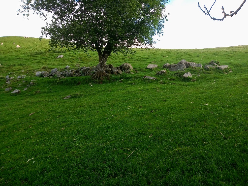 Click for the gallery page to add comments and vote (PID:212991) Battle Hill Cairn 1