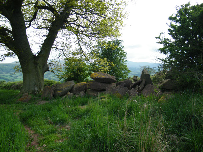 Click for the gallery page to add comments and vote (PID:57649) Ty Illtyd
