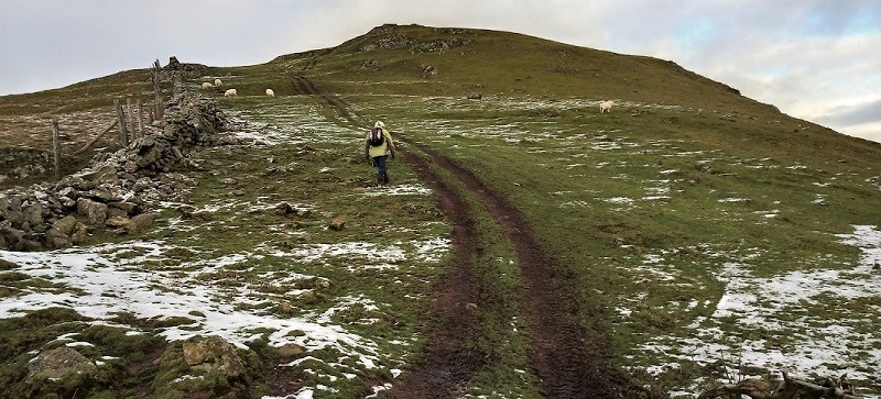 Gaer Fawr (Llanelwedd)