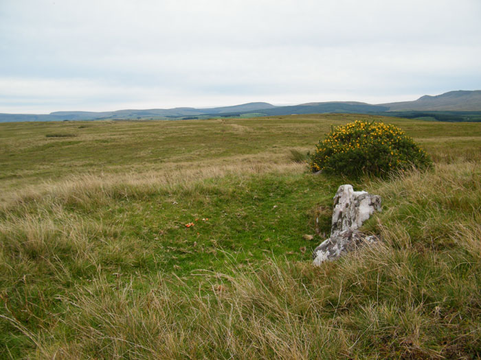 Click for the gallery page to add comments and vote (PID:63900) Y Pigwn cairn 1