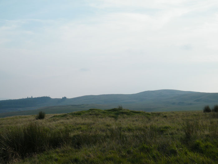 Y Pigwn cairn 2