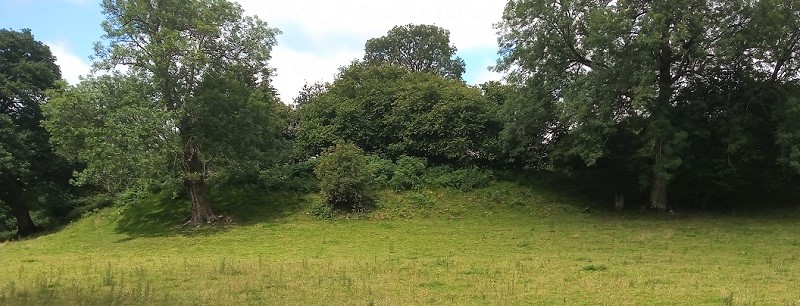 The camp viewed from the South.