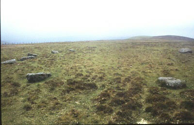 Cerrig Gaerau Stone Circle, near Llynbrynmair, Powys (SH 903 005):

The eight remaining stones of this circle, which is 21m in diameter, are quite large compared to those in other Welsh circles: they average about 1.5m in length but have unfortunately all fallen!

