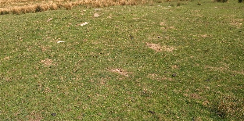 Blaen Clydach Fach Cairn 1