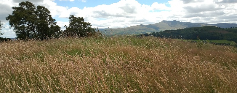 Click for the gallery page to add comments and vote (PID:214082) Aberyscir