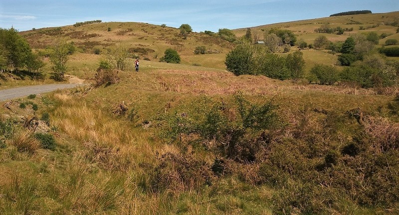 Clawdd Brythonic Enclosure