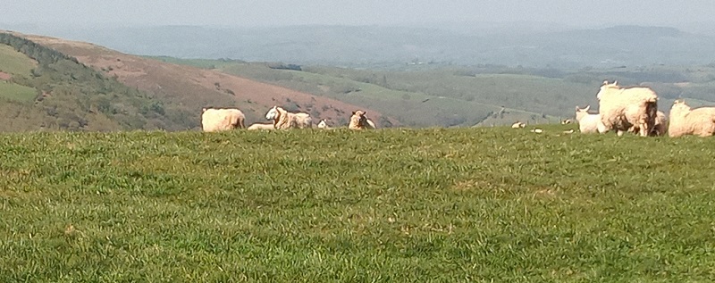 Blaen Clydach Fach Cairn 2