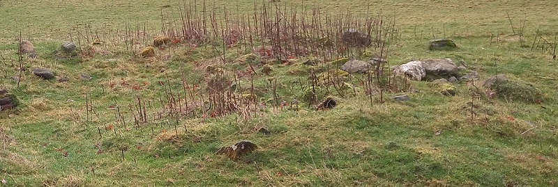 Click for the gallery page to add comments and vote (PID:206629) Ty-Coch Cairn
