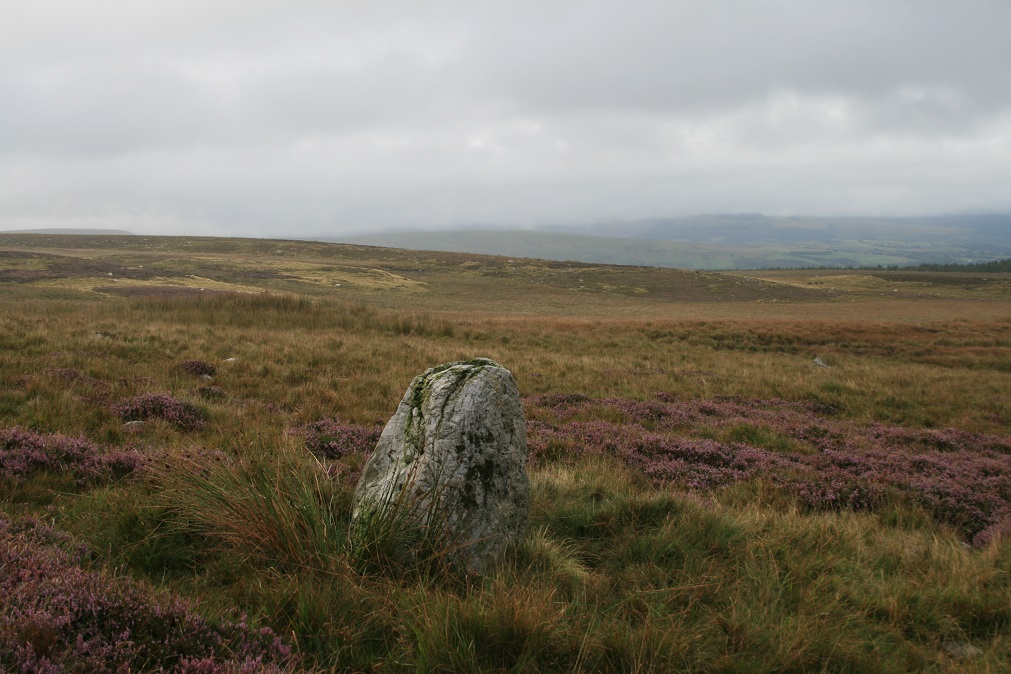 Dorwen