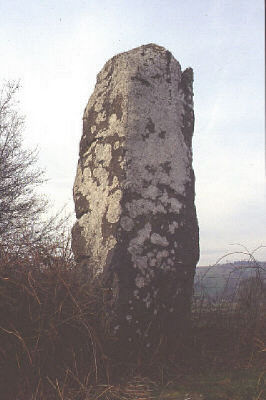 Click for the gallery page to add comments and vote (PID:1433) Llwyn-y-Fedwen Standing Stone