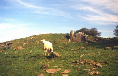 Click for the gallery page to add comments and vote (PID:1448) Ffostill South Long Cairn