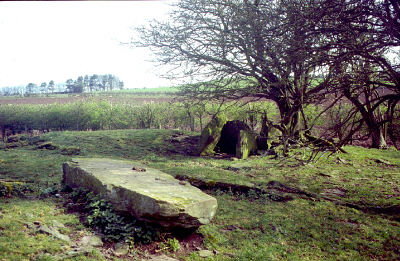 Click for the gallery page to add comments and vote (PID:1449) Ffostyll North Chambered Long Barrow
