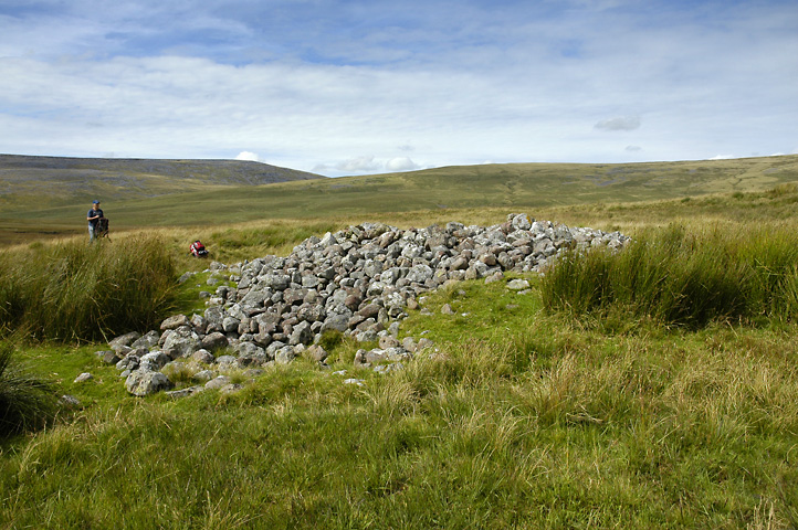 Click for the gallery page to add comments and vote (PID:65177) Banwen Gwys 1