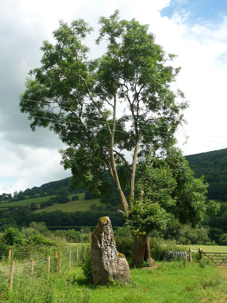 Click for the gallery page to add comments and vote (PID:136213) Gileston