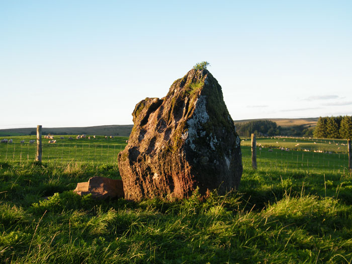 Gwern-Wyddog