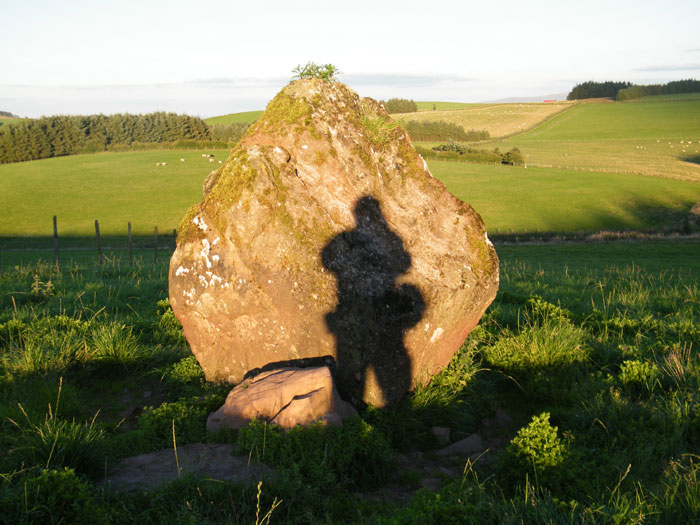 Gwern-Wyddog