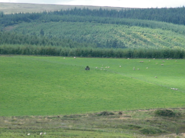Click for the gallery page to add comments and vote (PID:63919) Gwern-Wyddog