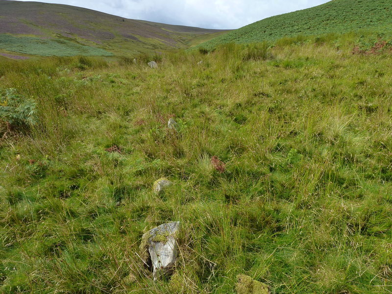 Click for the gallery page to add comments and vote (PID:159299) Rhos y Beddau (Rows)
