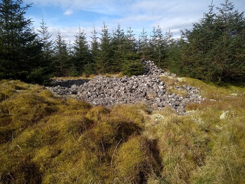 Click for the gallery page to add comments and vote (PID:210267) Waun Coli
