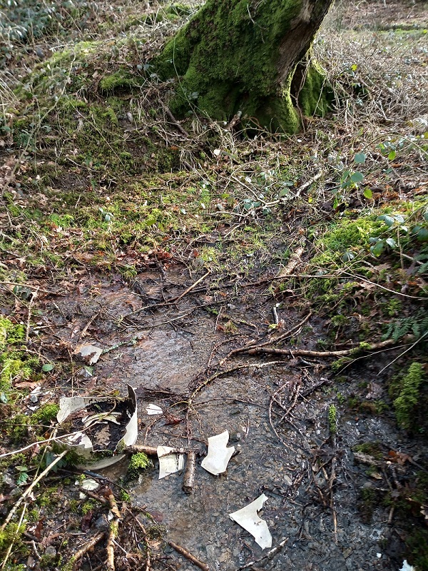 Ffynnon Gadferth Medieval Holy Well
