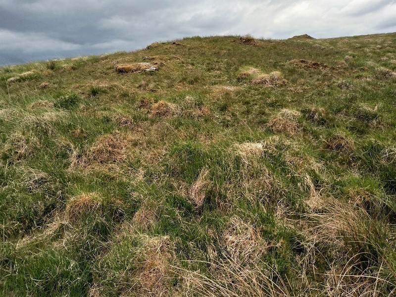 Click for the gallery page to add comments and vote (PID:212546) Cefn Craig Gwesyn