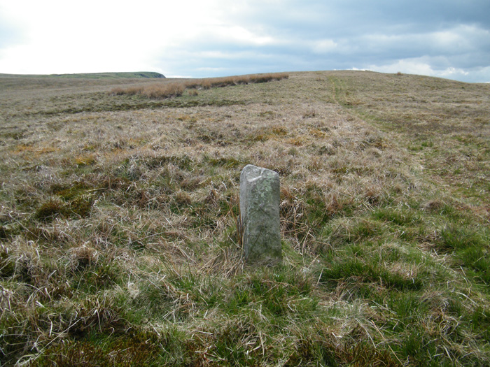 Click for the gallery page to add comments and vote (PID:56830) Carreg Wen Fawr Y Rugos Stone Row