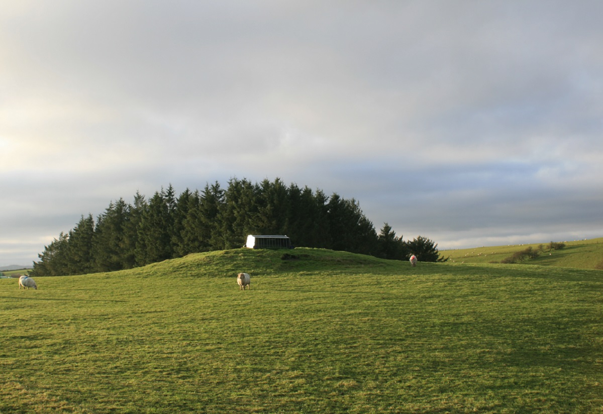 Rhiw Porthnant