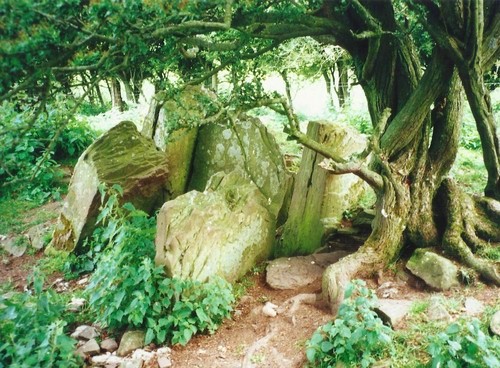 Click for the gallery page to add comments and vote (PID:106155) Ffostil North Chambered Long Barrow