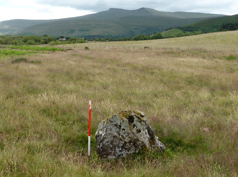 Mynydd Illtud Standing Stone 2