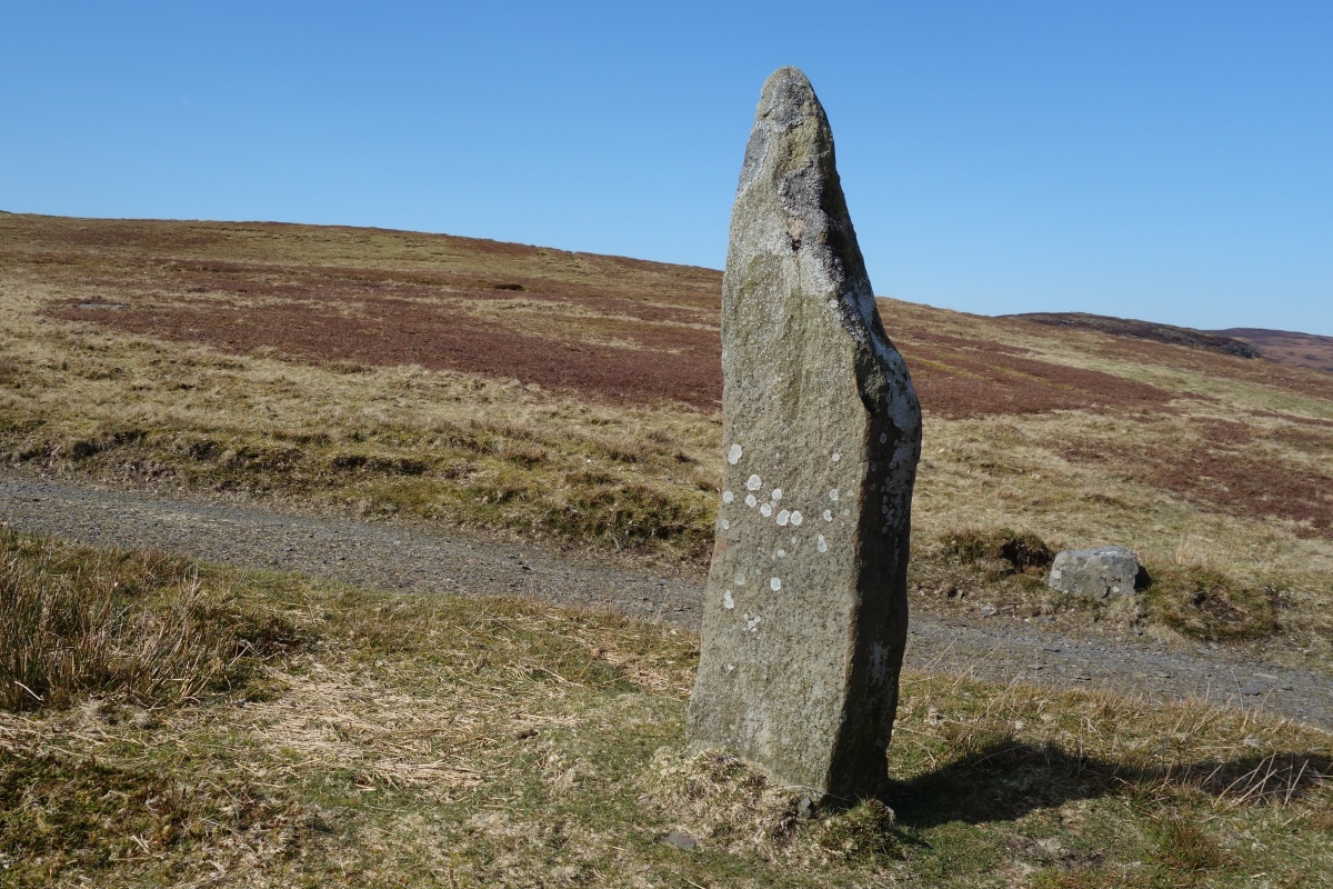 Ty'n Y Pant Stone