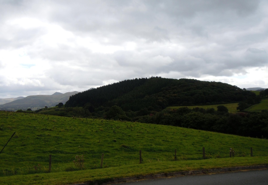 Click for the gallery page to add comments and vote (PID:93860) Coed Fenn-Fach