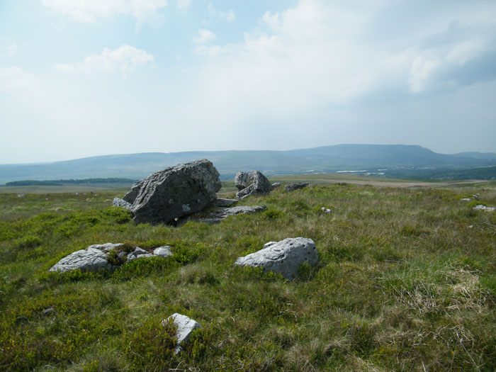 Click for the gallery page to add comments and vote (PID:60005) Mynydd y Glog