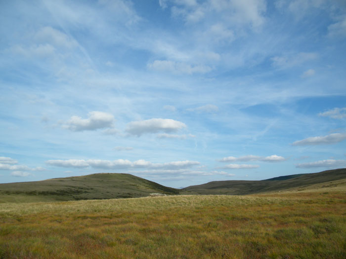 Click for the gallery page to add comments and vote (PID:65207) Nant Tarw Stone Row