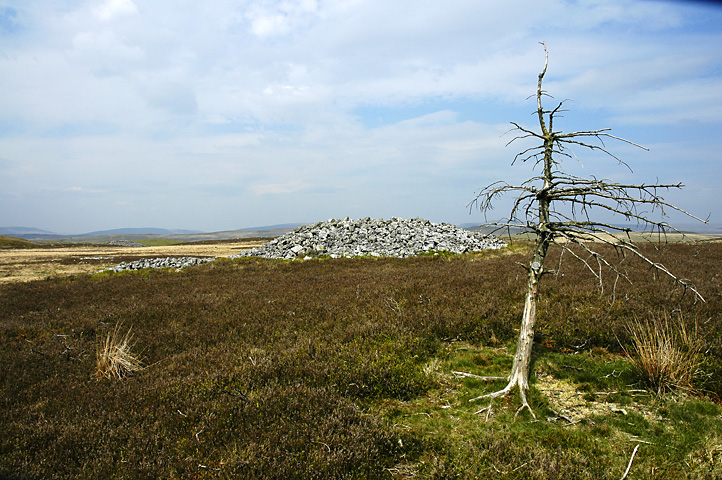 Mynydd y Glog