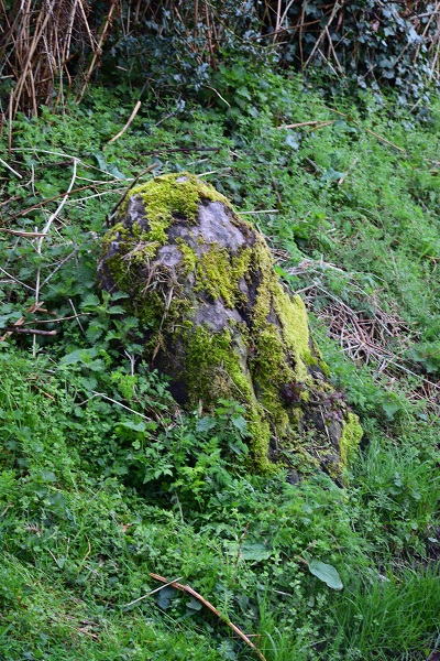 Castle Farm Stone