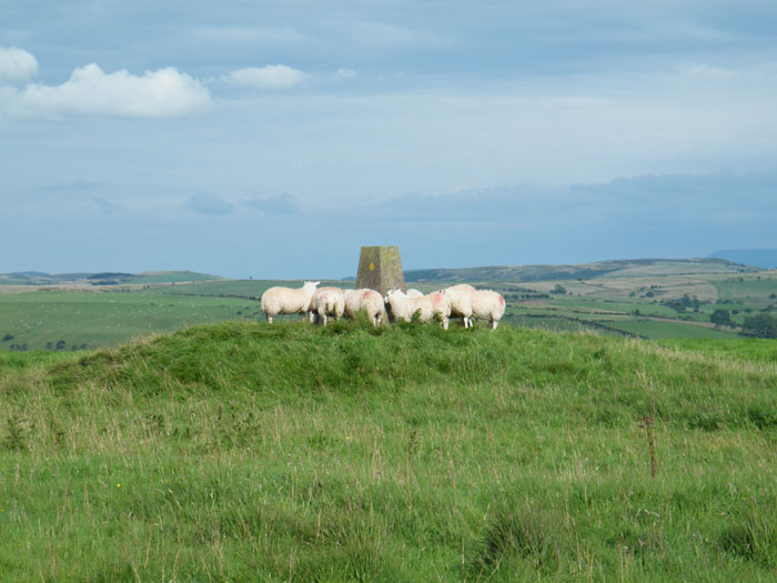 Pant Madog cairn