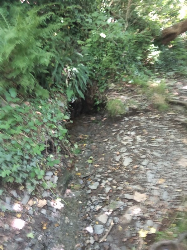 Pistyll Gwn Medicinal Well (Machynlleth)