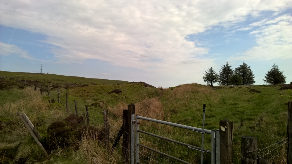 Shepherd's Well Cross Dyke