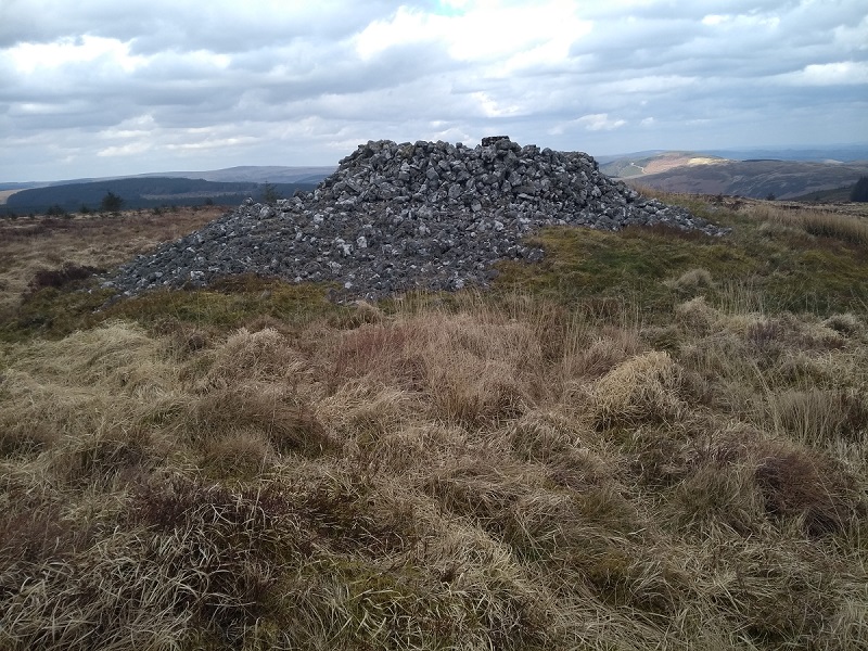Garn Wen (Llanwrtyd Wells)