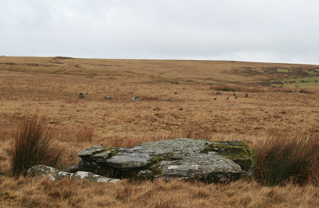 Click for the gallery page to add comments and vote (PID:141293) Y Pigwn standing stone