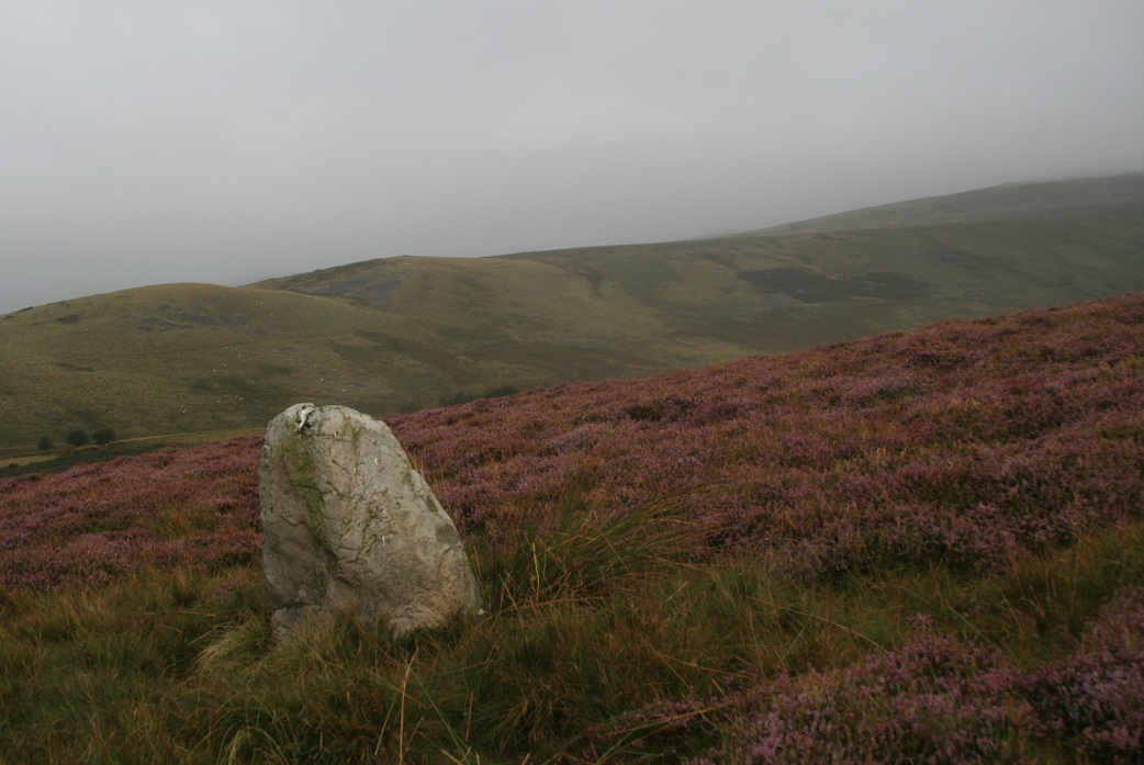 Dorwen