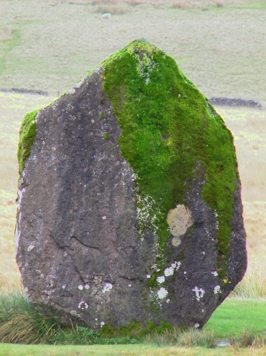 Click for the gallery page to add comments and vote (PID:52399) Maen Llia