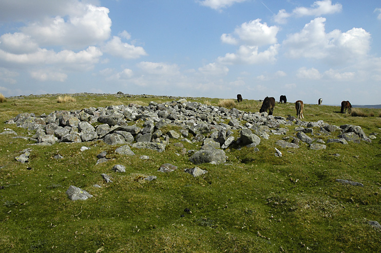 Click for the gallery page to add comments and vote (PID:75753) Twyn Bryn Glas Cairn