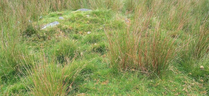 Maesnant Cairn