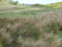 Groes y Forwm Round Cairn